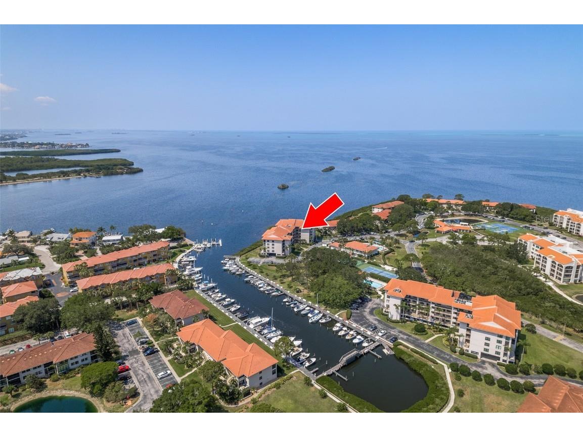 1810 Mariner Drive #205 Tarpon Springs FL 34689 U8234313 image1