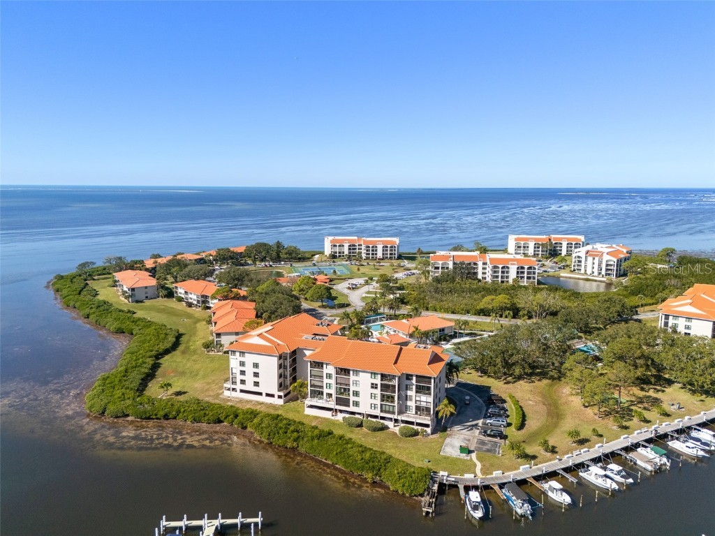 1810 Mariner Drive #308 Tarpon Springs FL 34689 TB8455123 image1