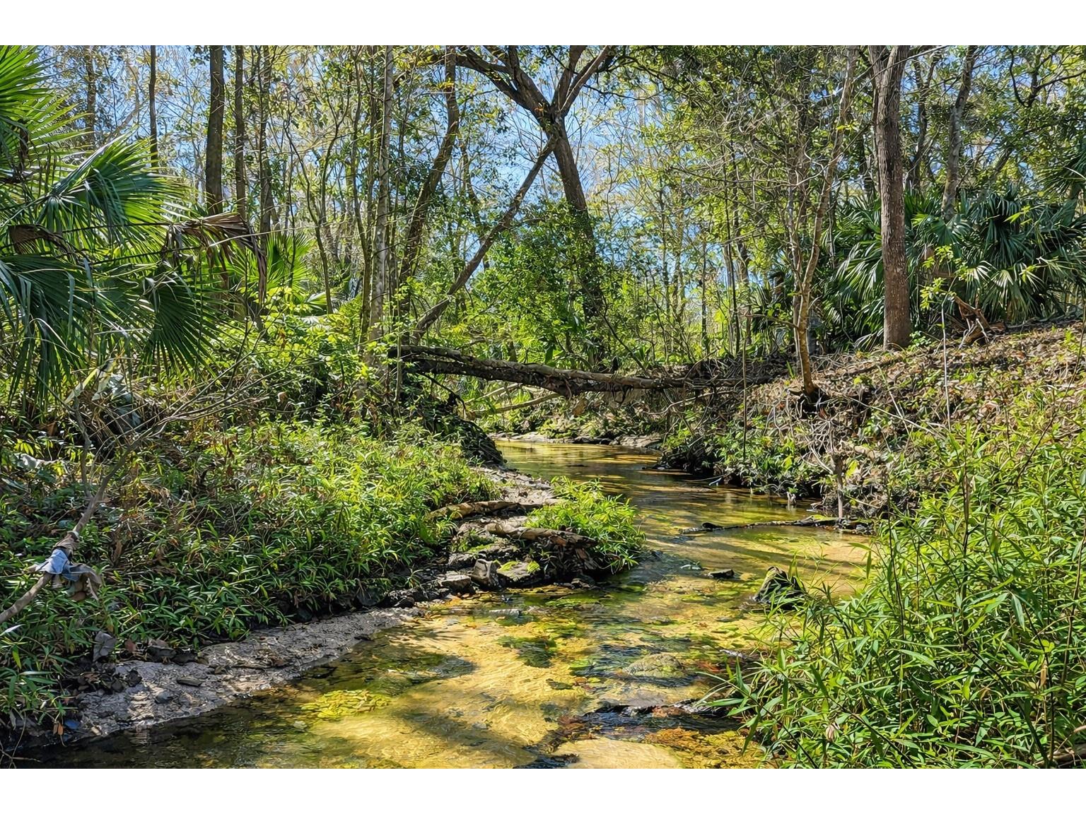 1810 NW 23rd Boulevard #219 Gainesville FL 32605 GC536442 image2