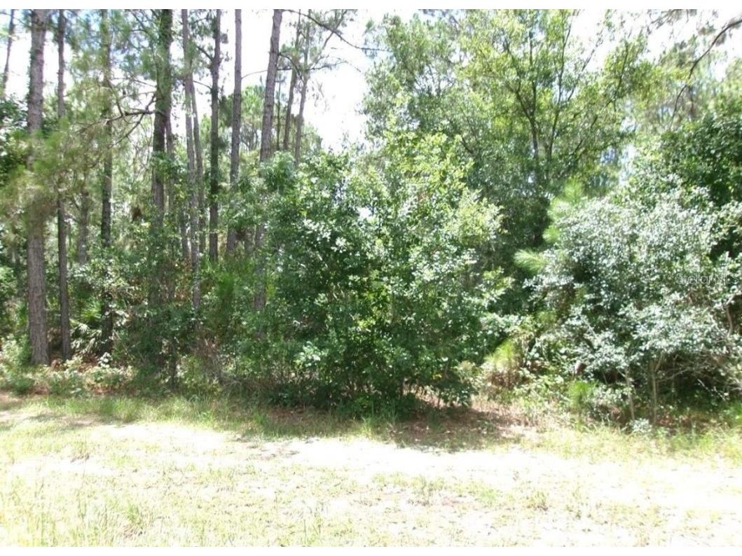 1810 S Griese Road Avon Park FL 33825 J989448 image1