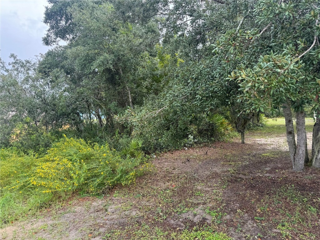 1810 Superior Way Kissimmee FL 34759 O6272046 image1