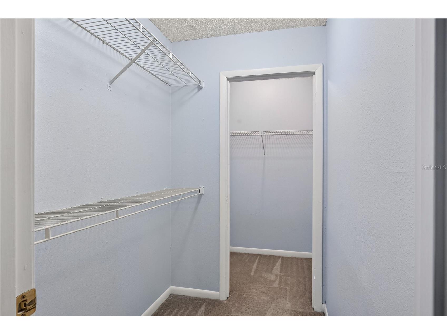 1810 Village Ct Mulberry FL 33860 L4962204 image41