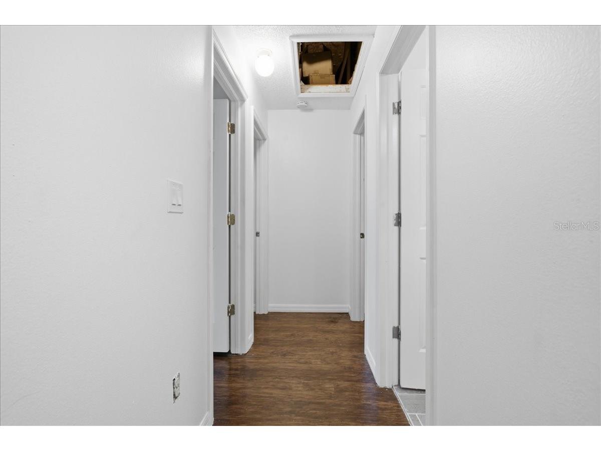 18101 Paradise Point Drive Tampa FL 33647 TB8480652 image21