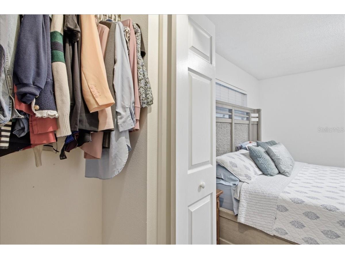 18101 Paradise Point Drive Tampa FL 33647 TB8480652 image27