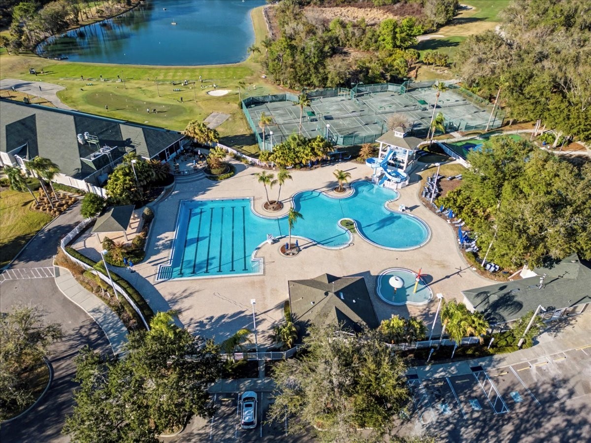 18101 Paradise Point Drive Tampa FL 33647 TB8480652 image39