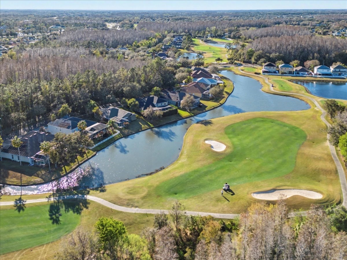 18101 Paradise Point Drive Tampa FL 33647 TB8480652 image43