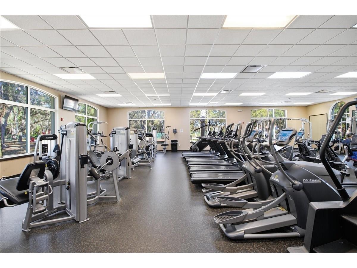 18101 Paradise Point Drive Tampa FL 33647 TB8480652 image45