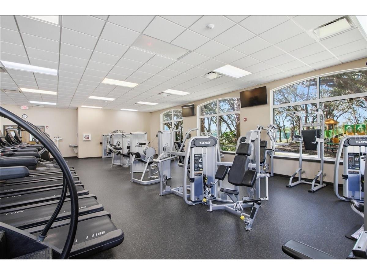 18101 Paradise Point Drive Tampa FL 33647 TB8480652 image46