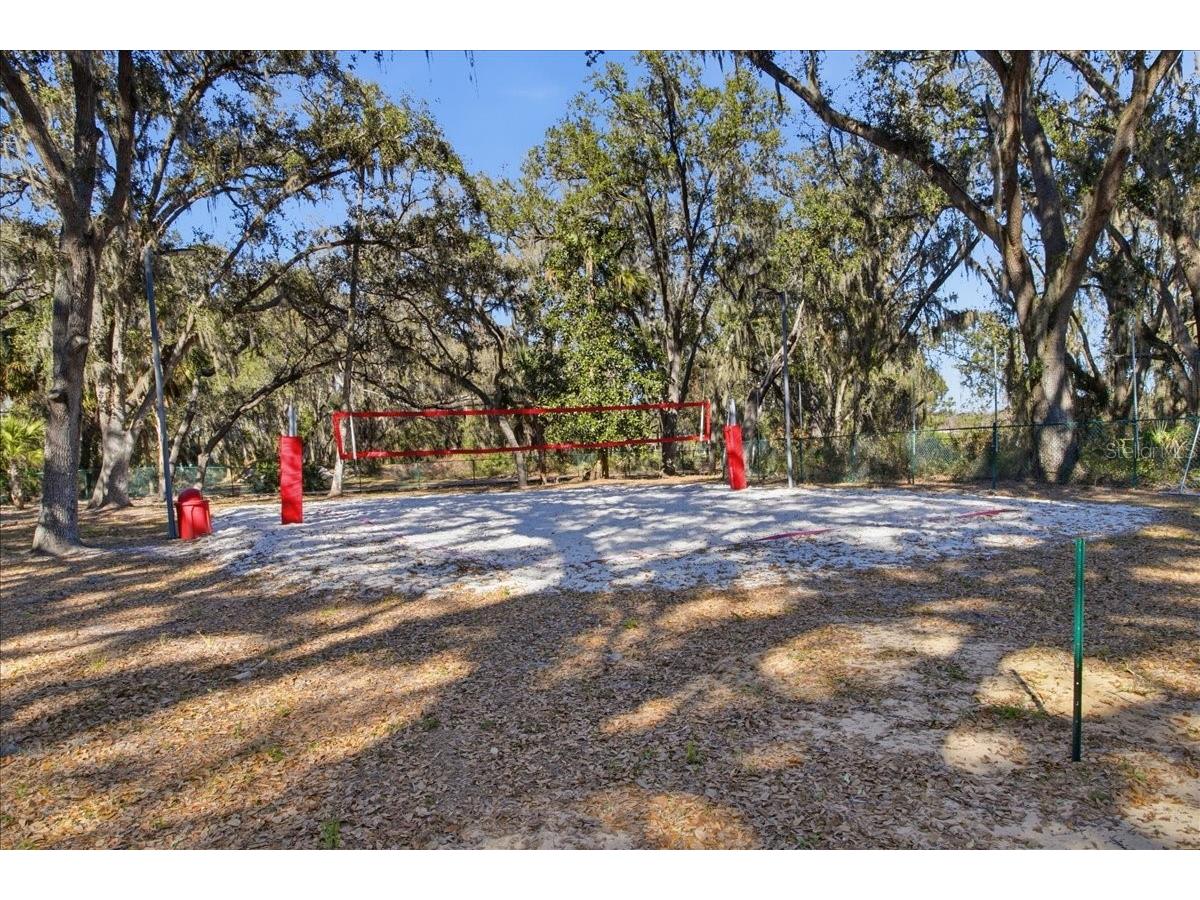 18101 Paradise Point Drive Tampa FL 33647 TB8480652 image49