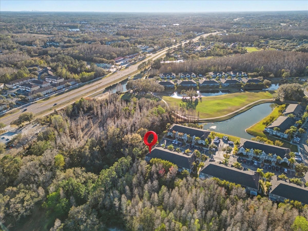 18101 Paradise Point Drive Tampa FL 33647 TB8480652 image54