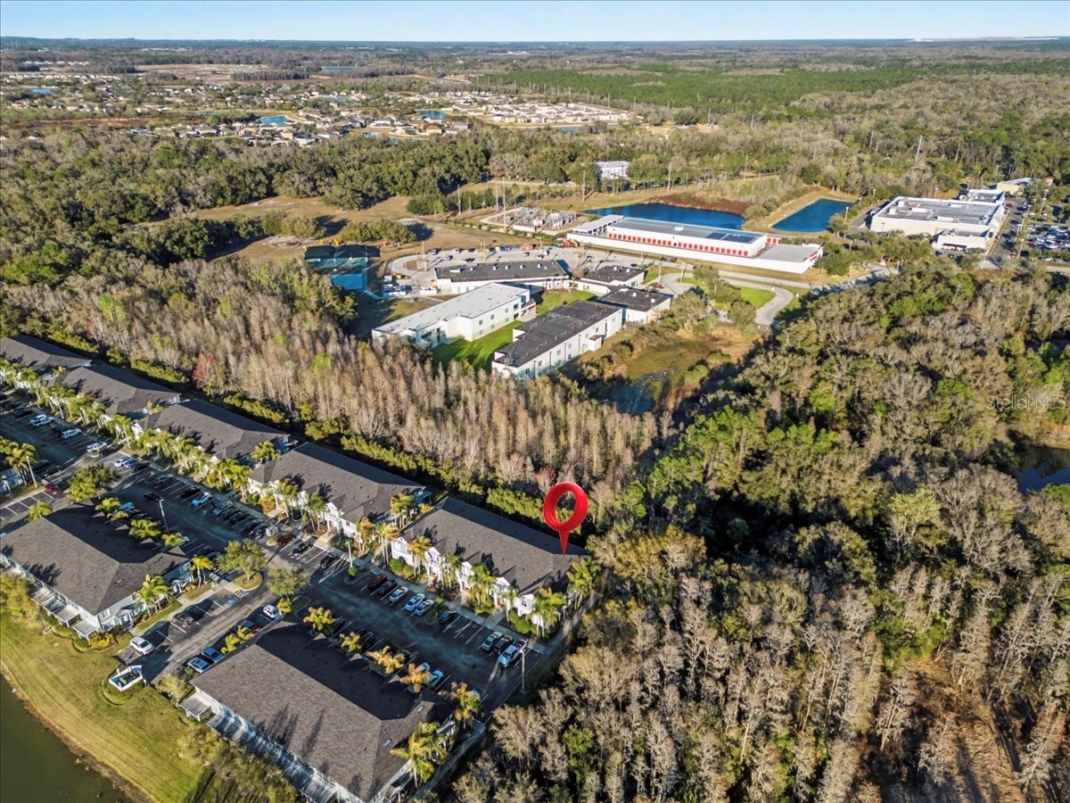 18101 Paradise Point Drive Tampa FL 33647 TB8480652 image55