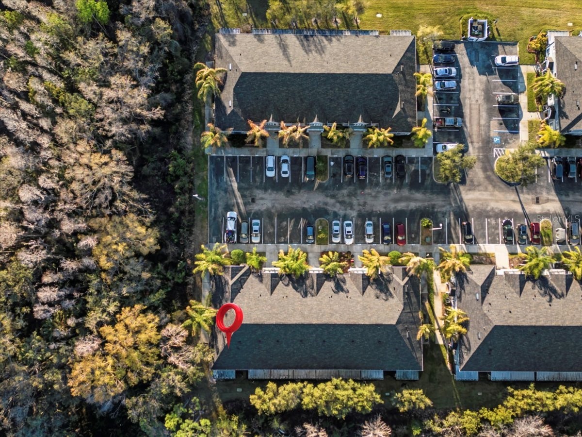 18101 Paradise Point Drive Tampa FL 33647 TB8480652 image56