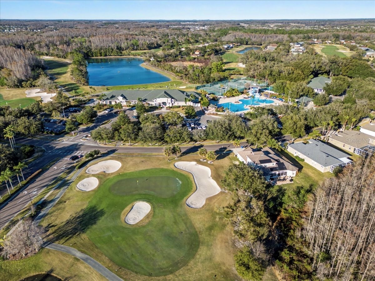 18101 Paradise Point Drive Tampa FL 33647 TB8480652 image59