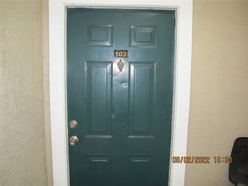 18101 Peregrines Perch Place #4103 Lutz FL 33558 T3497307 image1