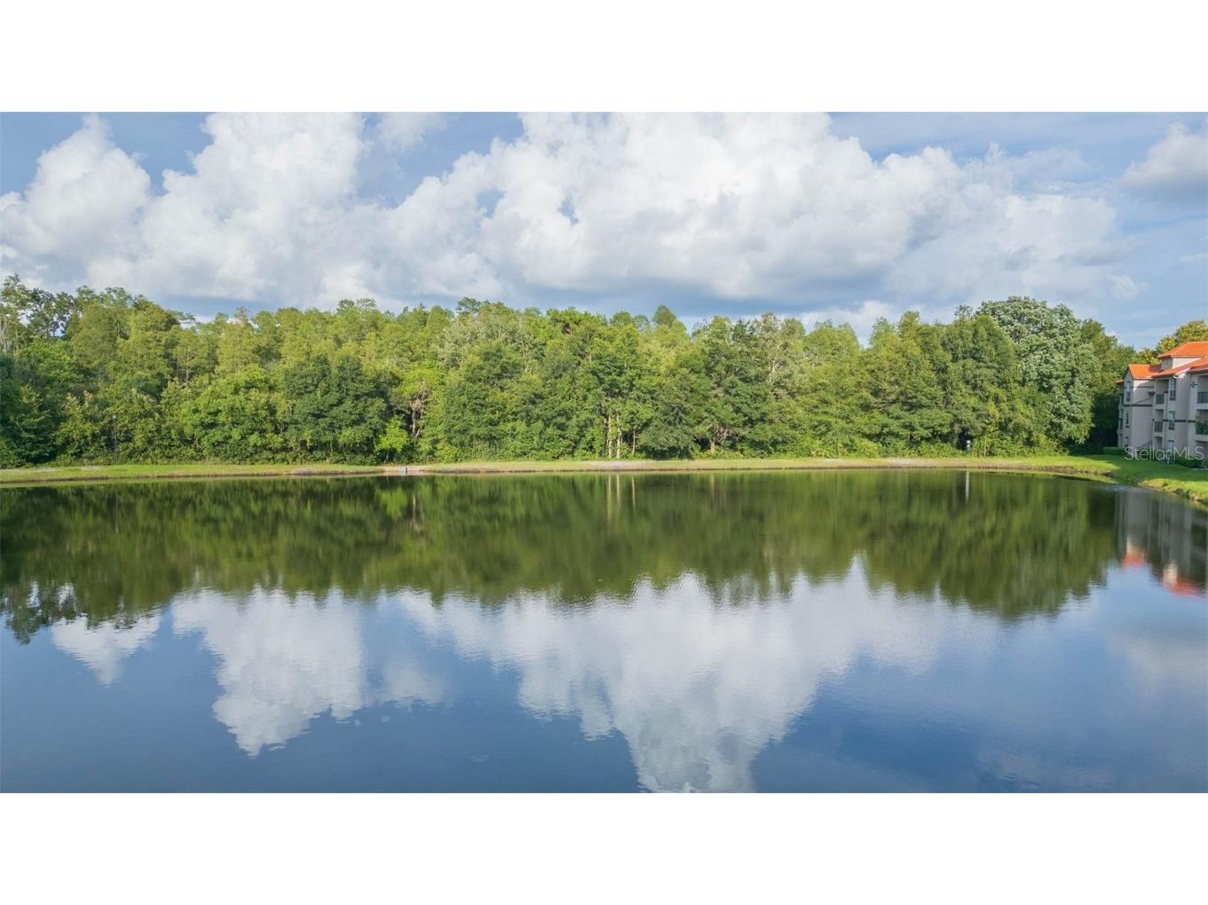 18101 Peregrines Perch Place #4109 Lutz FL 33558 T3548864 image1