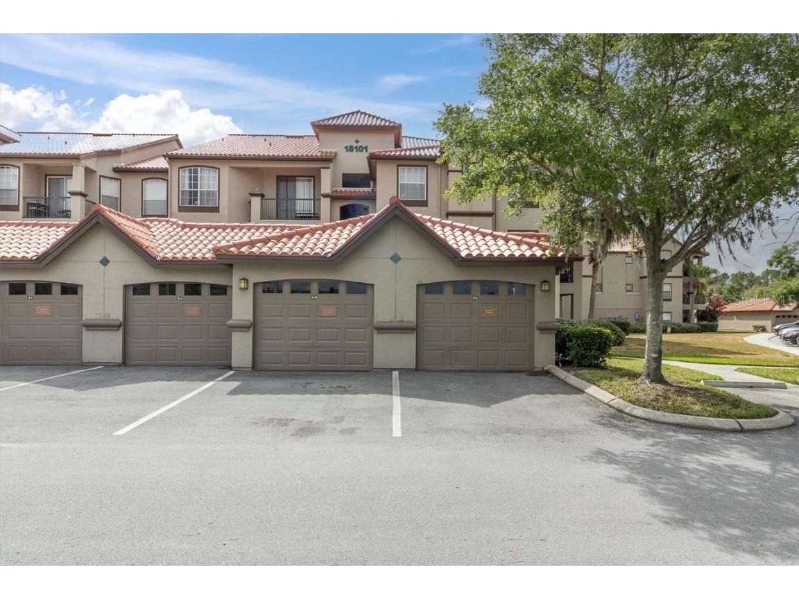 18101 Peregrines Perch Place #4206 Lutz FL 33558 T3523719 image1