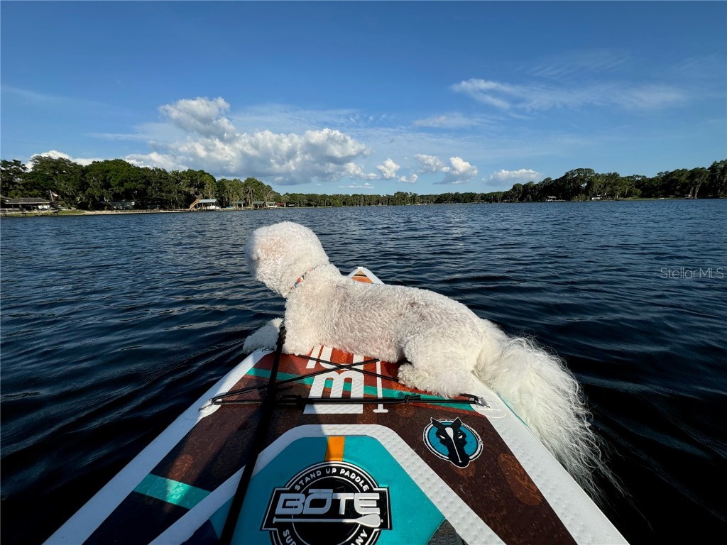 18102 Spencer Road Odessa FL 33556 W7875774 image10