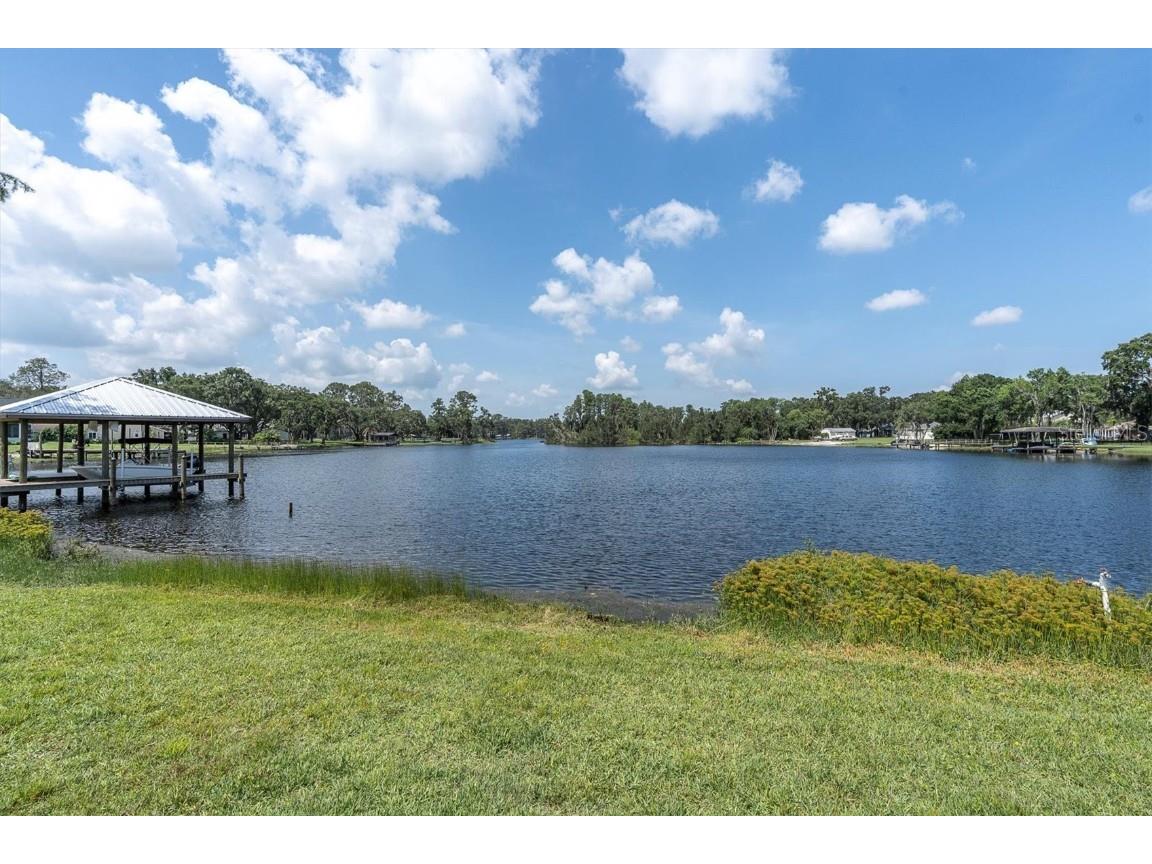 18102 Spencer Road Odessa FL 33556 W7875774 image39