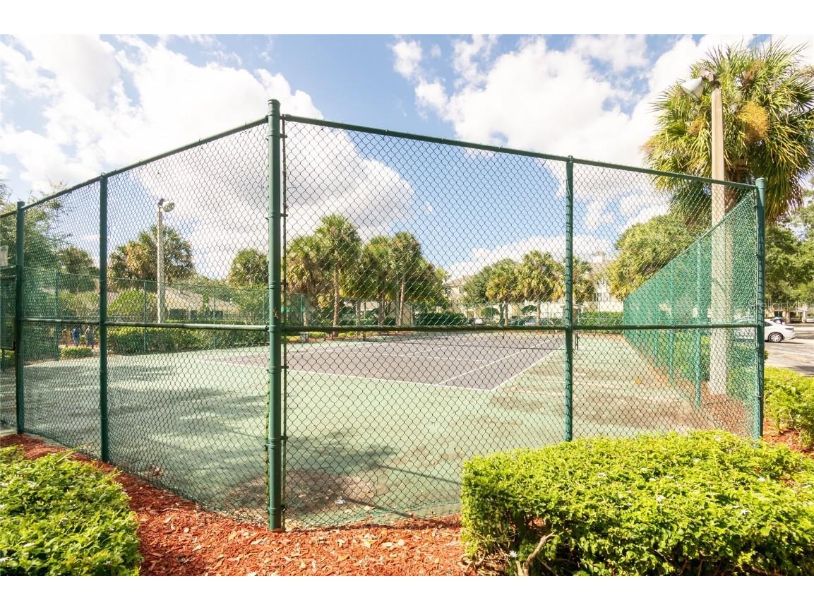 18103 Back Stretch Lane Tampa FL 33647 C7517242 image23