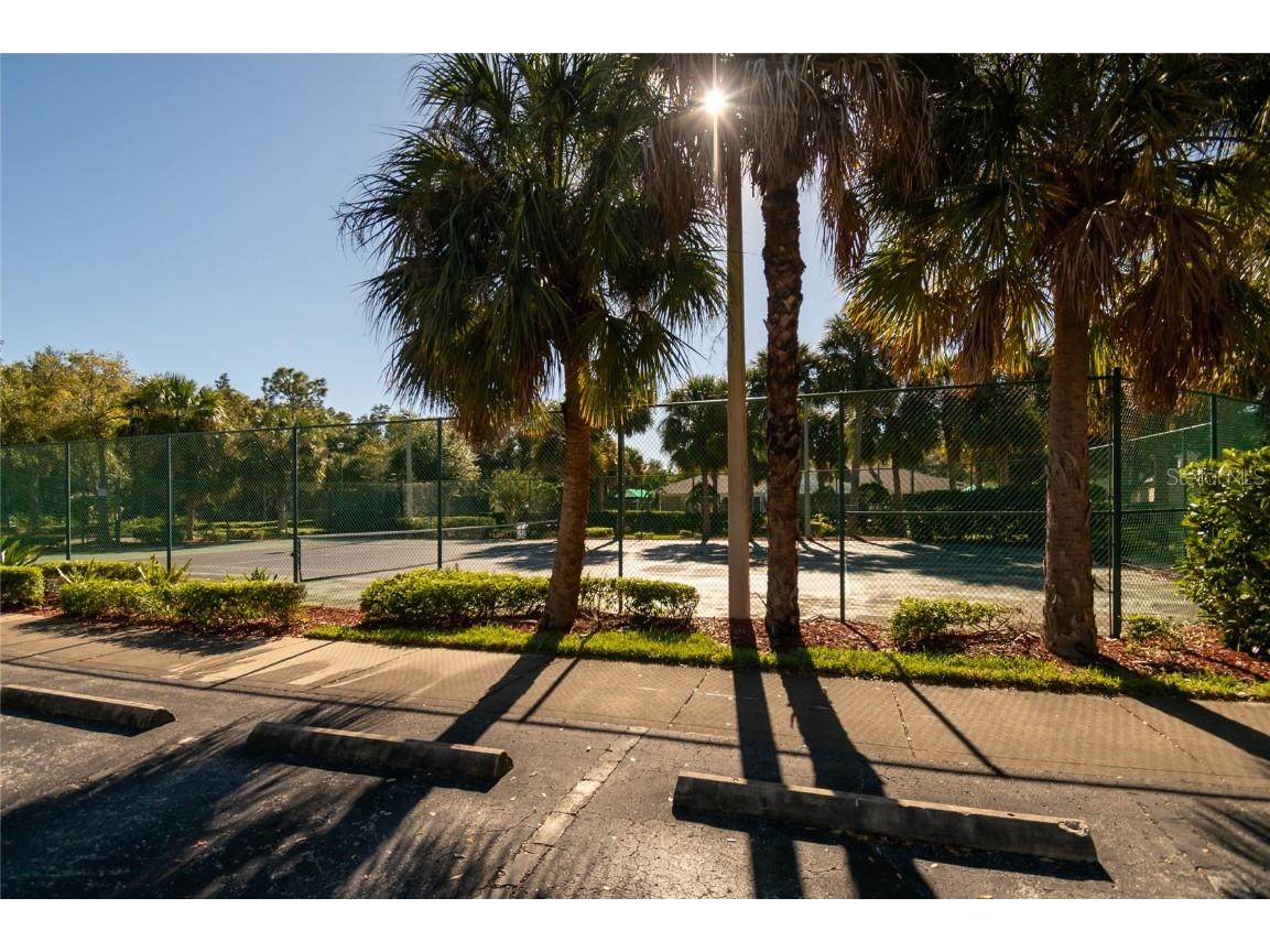 18103 Back Stretch Lane Tampa FL 33647 C7517242 image24