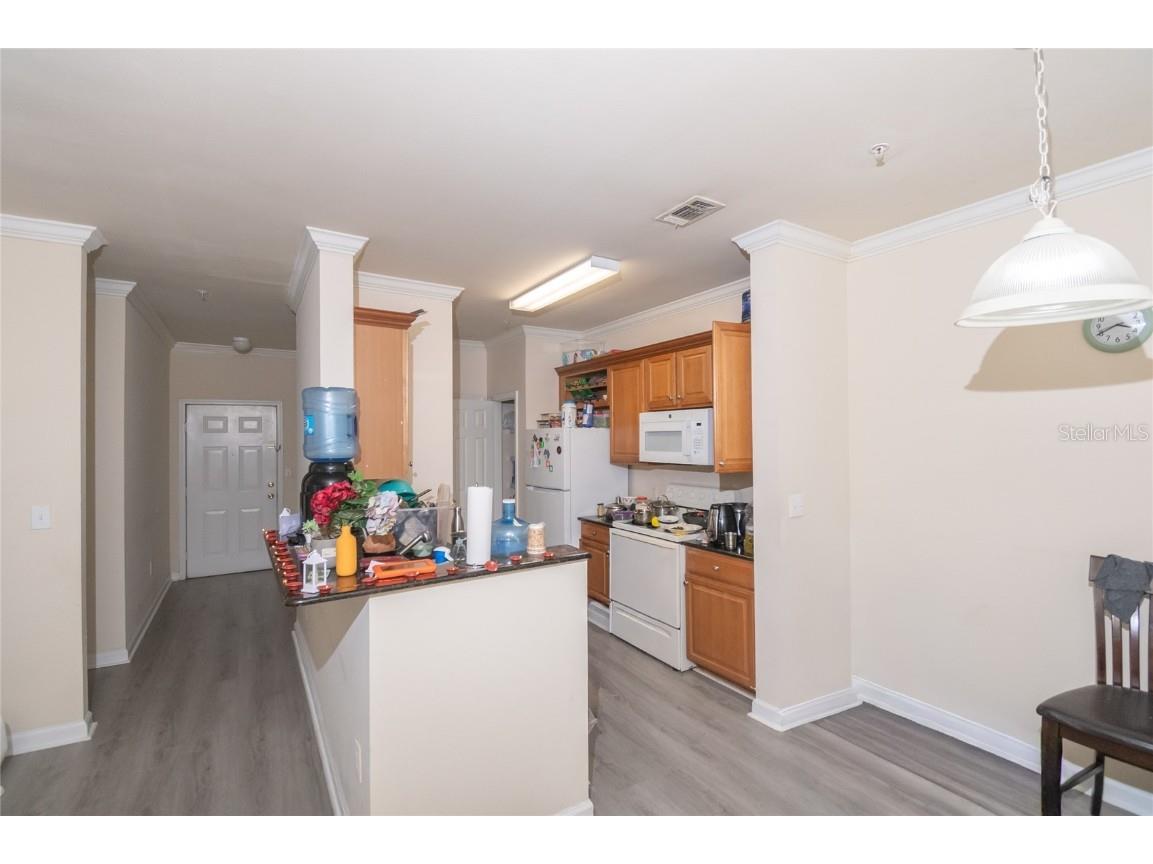 18103 Back Stretch Lane Tampa FL 33647 C7517242 image4