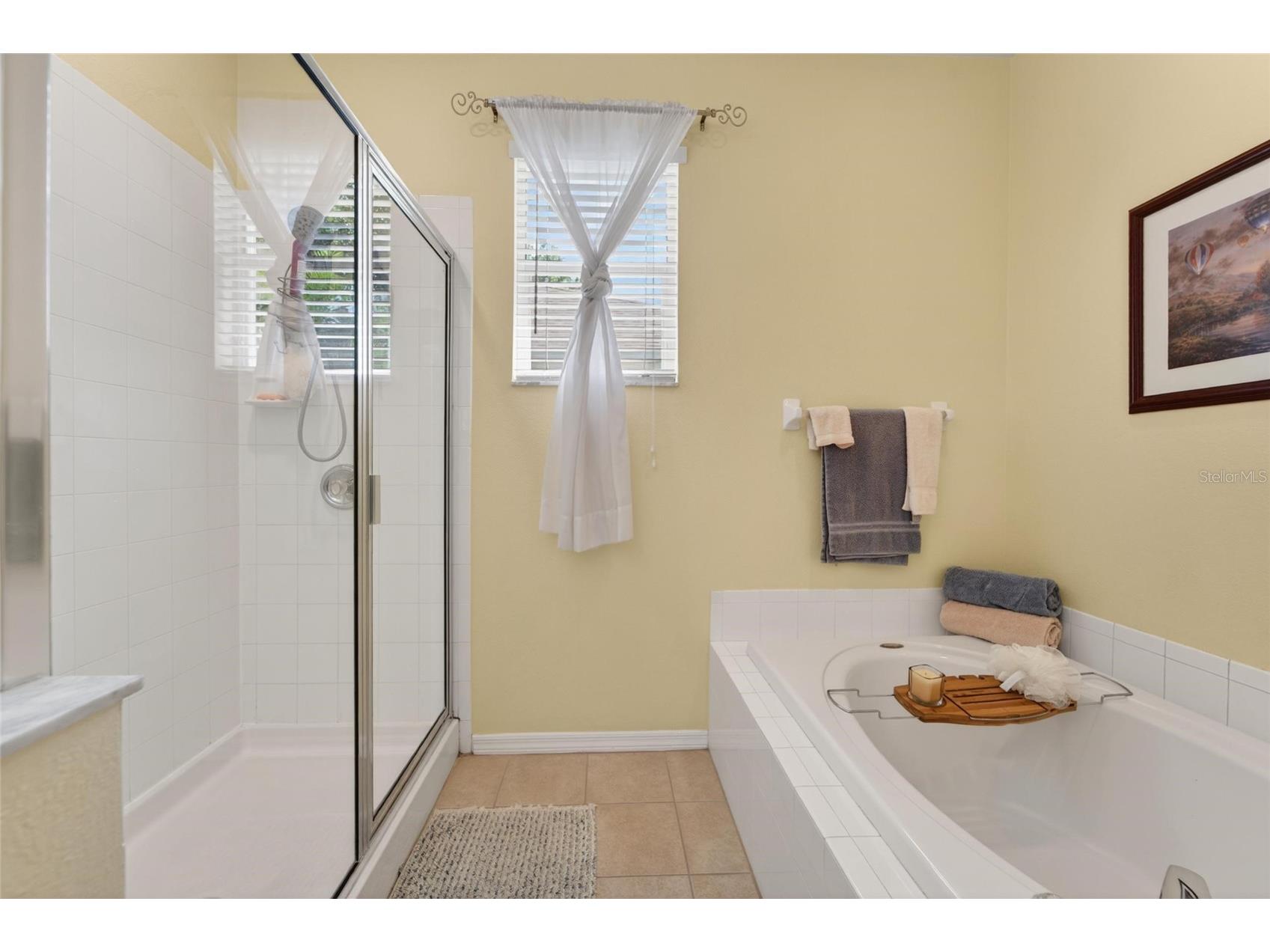 18103 Hamden Park Way Tampa FL 33647 TB8511626 image27