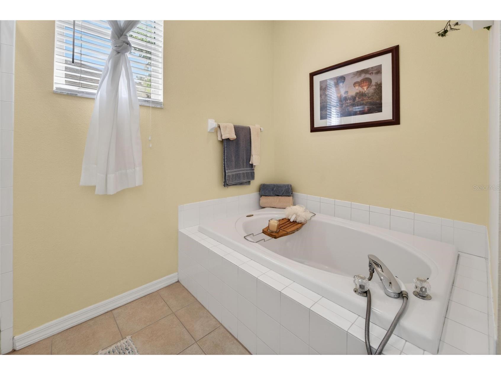 18103 Hamden Park Way Tampa FL 33647 TB8511626 image28