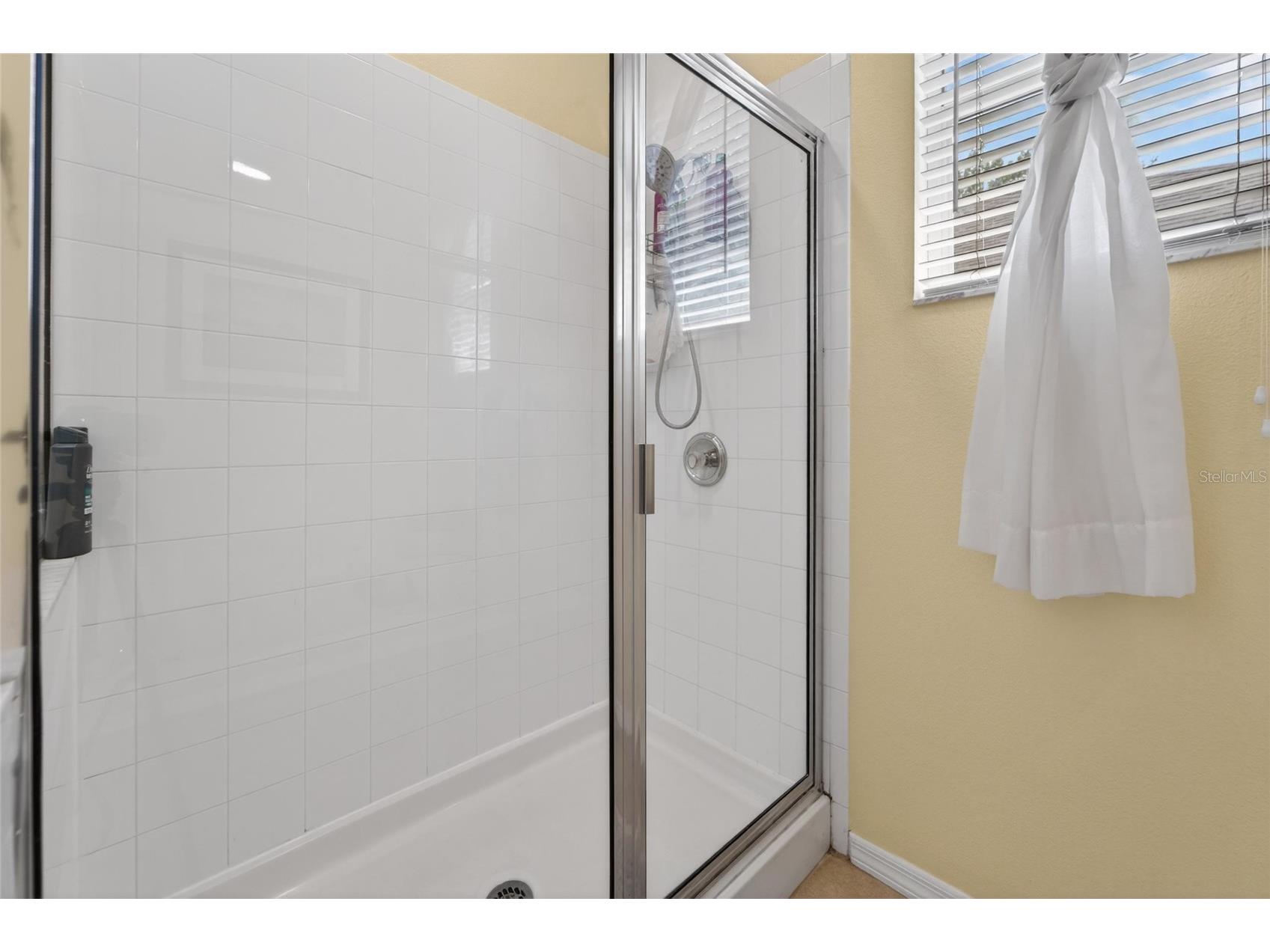 18103 Hamden Park Way Tampa FL 33647 TB8511626 image29