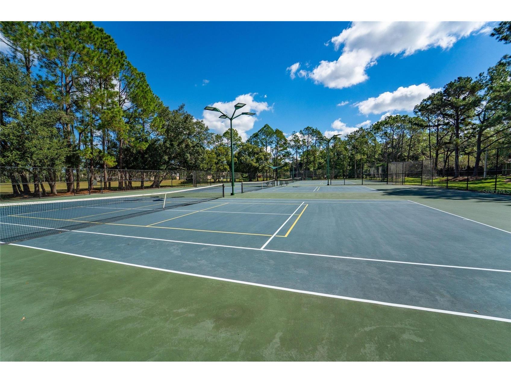18103 Hamden Park Way Tampa FL 33647 TB8511626 image47