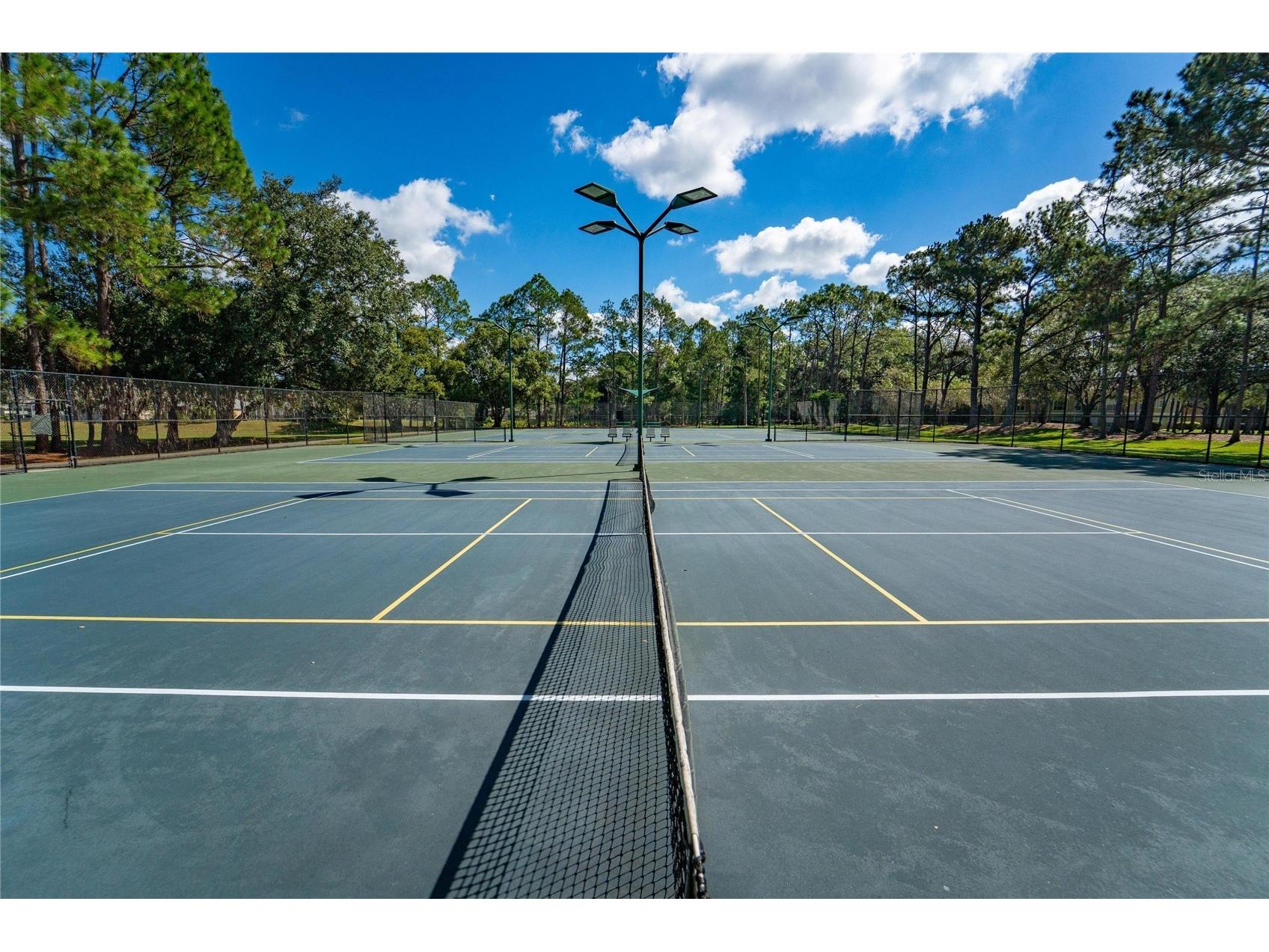 18103 Hamden Park Way Tampa FL 33647 TB8511626 image48
