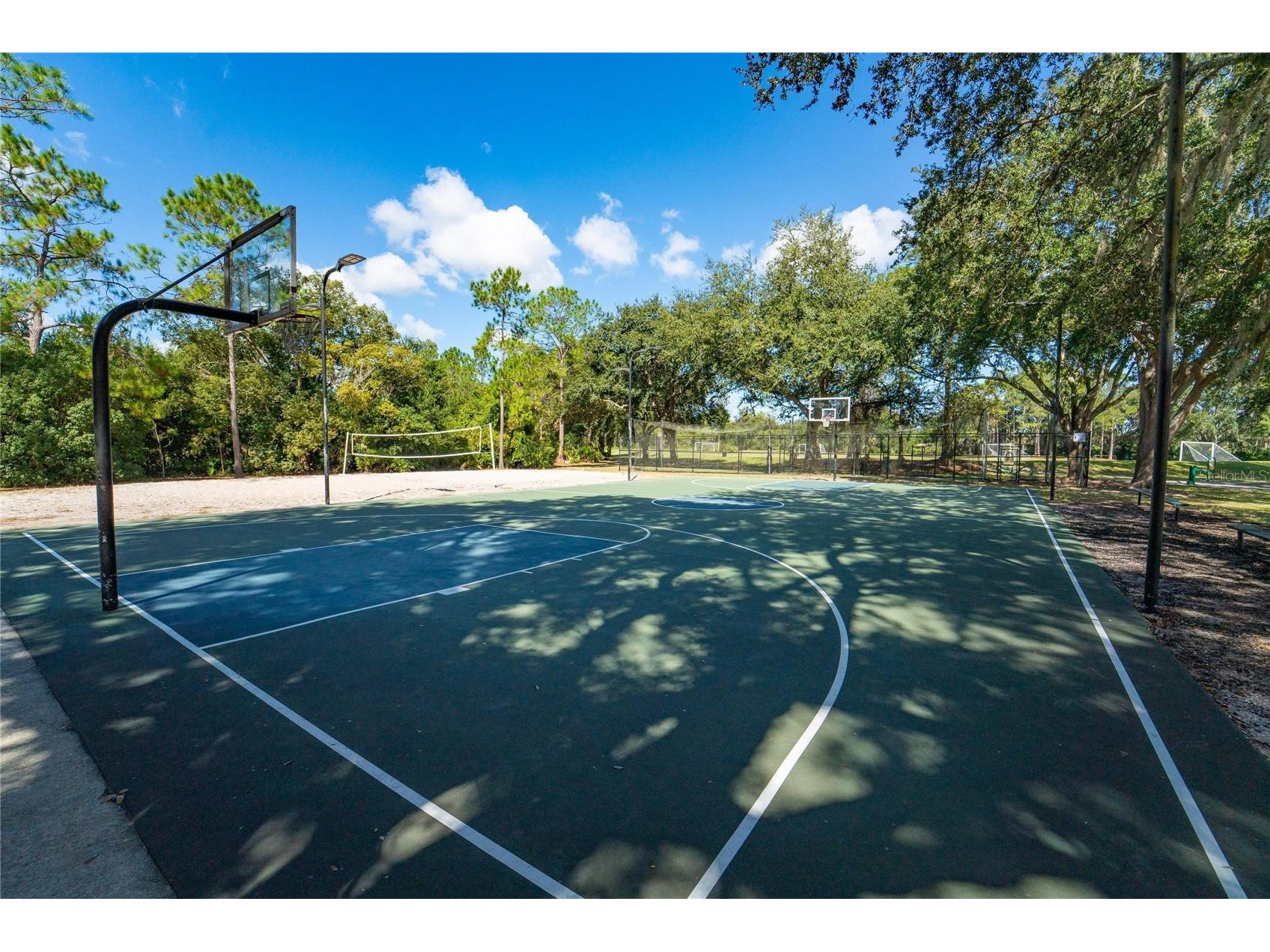 18103 Hamden Park Way Tampa FL 33647 TB8511626 image51