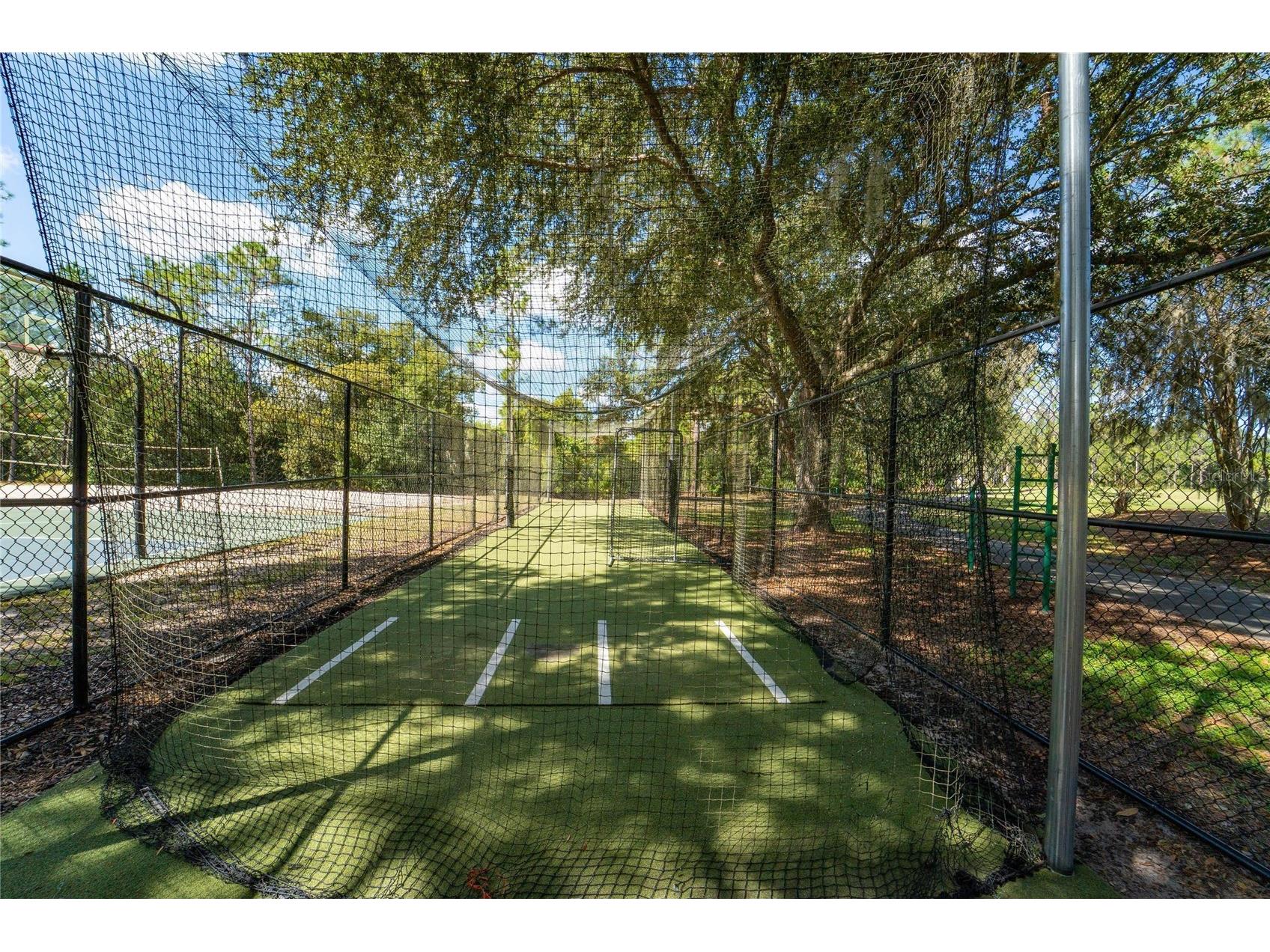 18103 Hamden Park Way Tampa FL 33647 TB8511626 image53