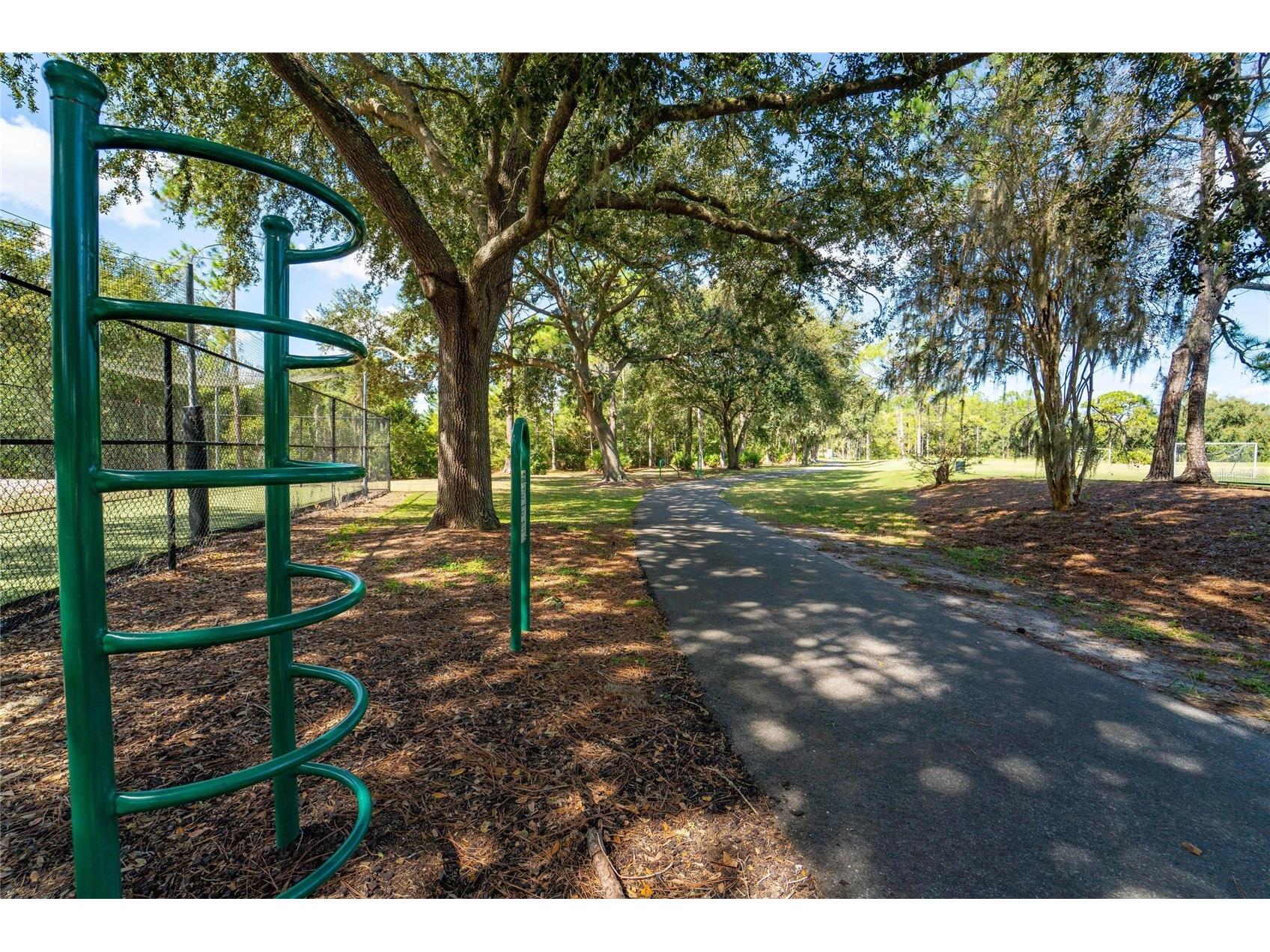 18103 Hamden Park Way Tampa FL 33647 TB8511626 image54