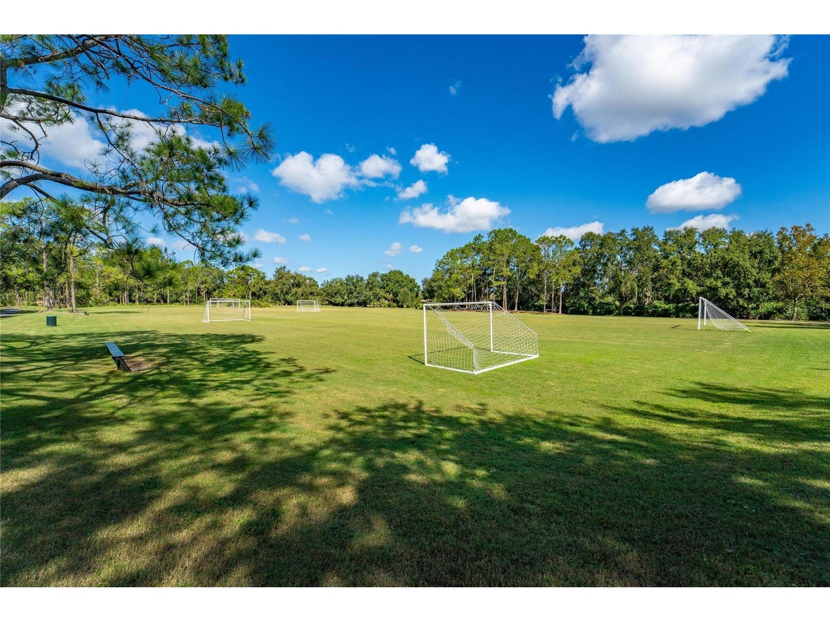 18103 Hamden Park Way Tampa FL 33647 TB8511626 image55