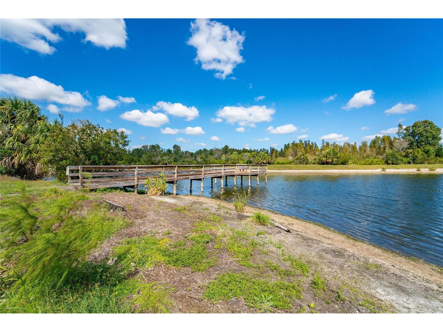 18103 Hamden Park Way Tampa FL 33647 TB8511626 image57