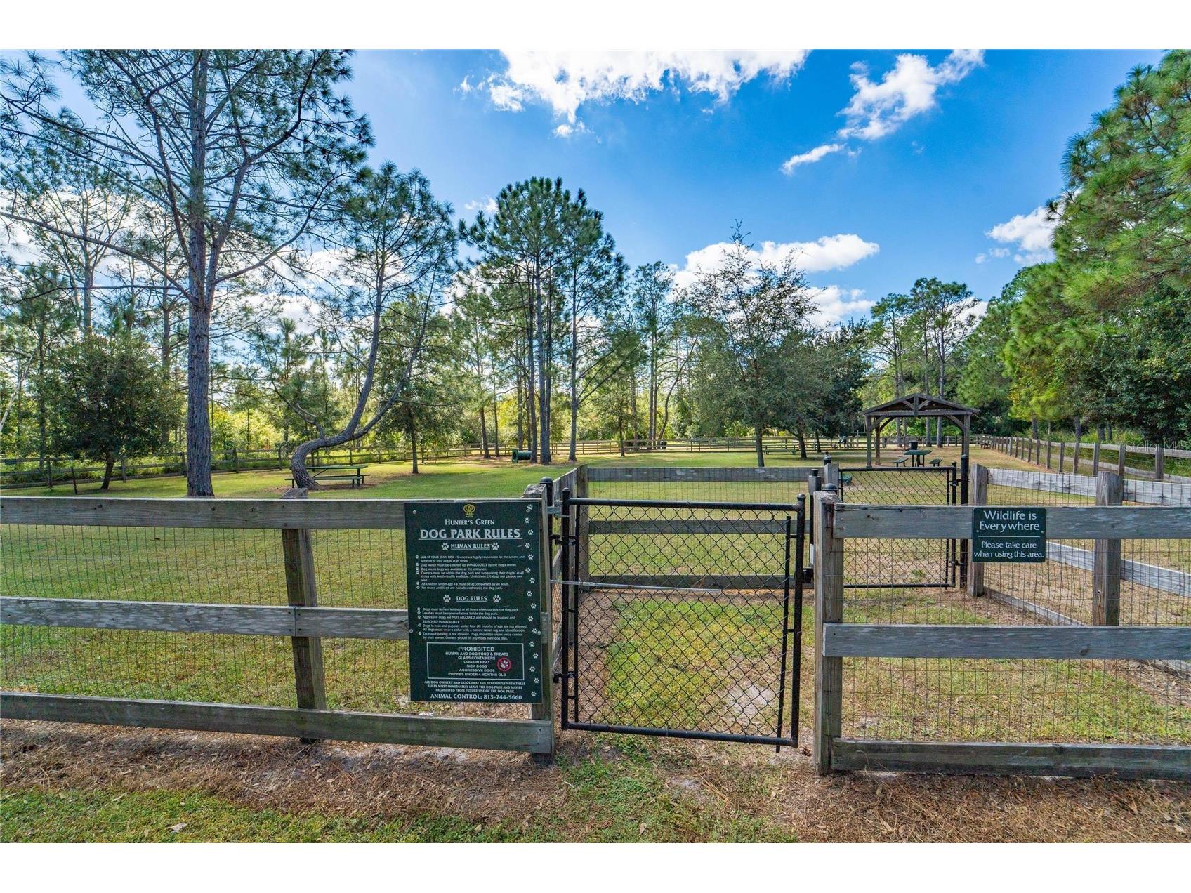 18103 Hamden Park Way Tampa FL 33647 TB8511626 image59