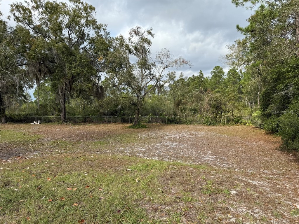 18104 NE 143rd Avenue Waldo FL 32694 G5105247 image9
