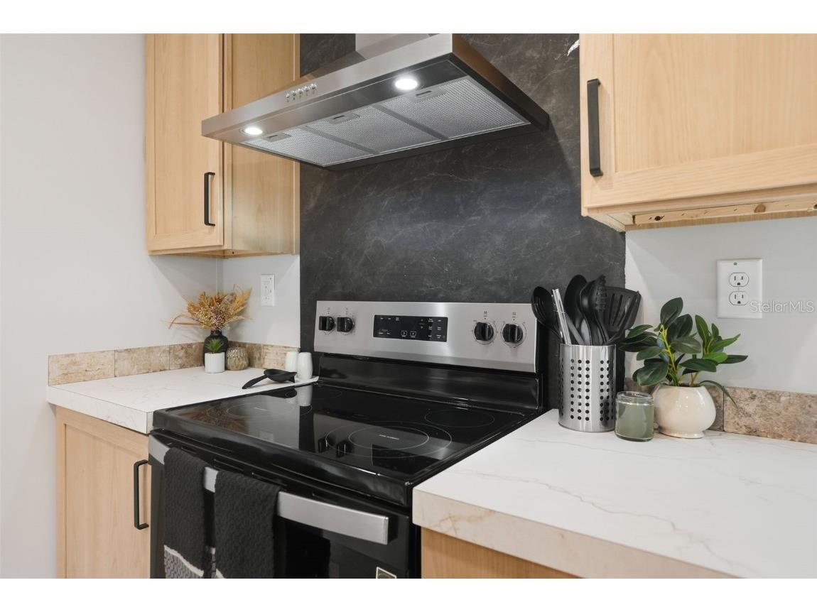 18104 Nicholas Avenue Brooksville FL 34604 W7879545 image17