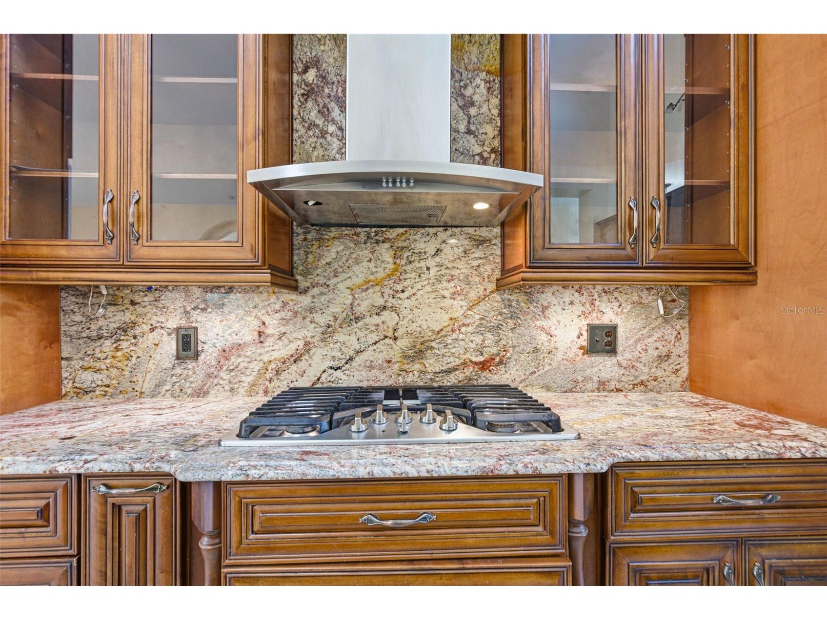 18104 Sweet Jasmine Drive Tampa FL 33647 TB8384583 image26