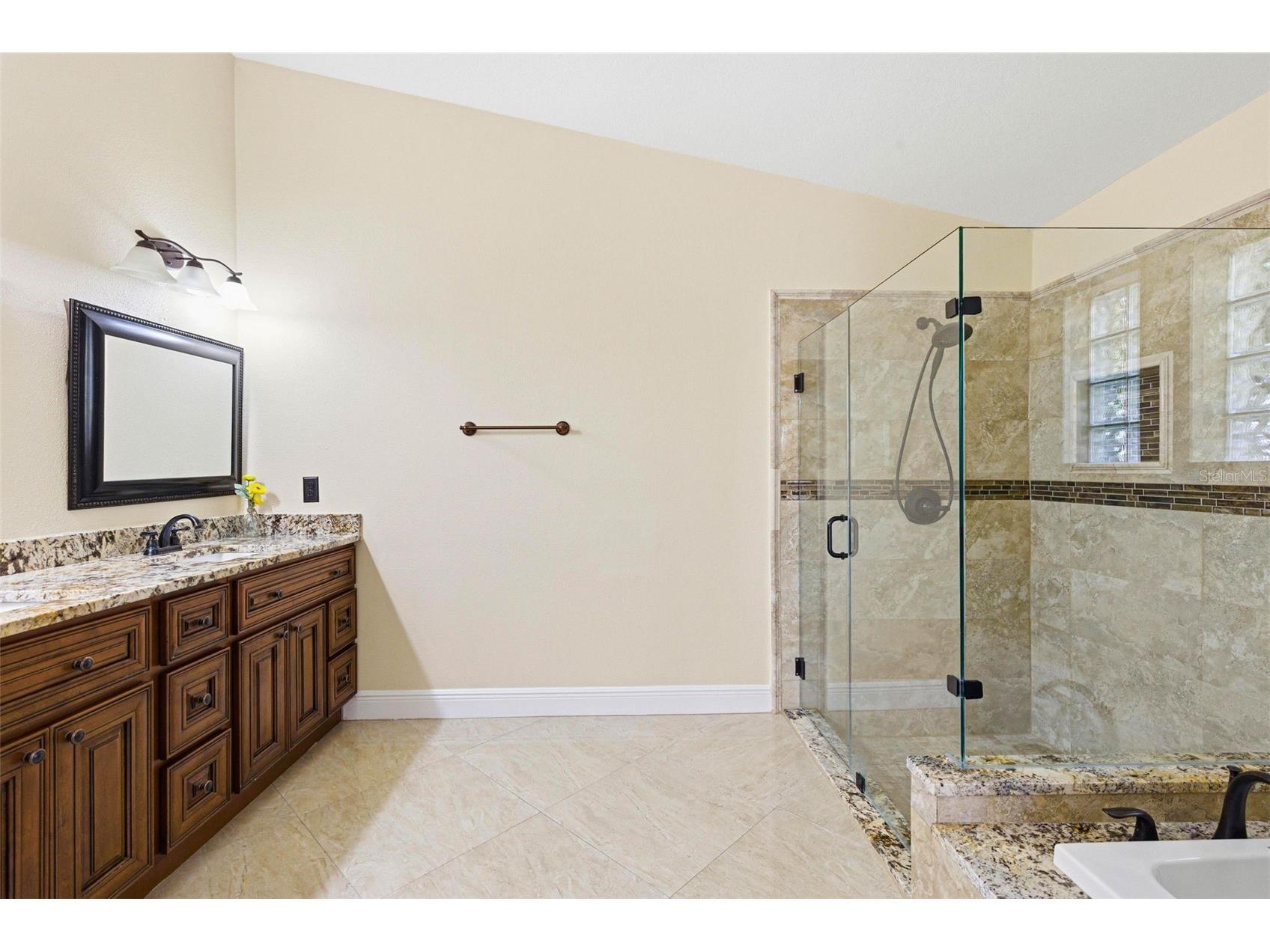 18104 Sweet Jasmine Drive Tampa FL 33647 TB8384583 image42