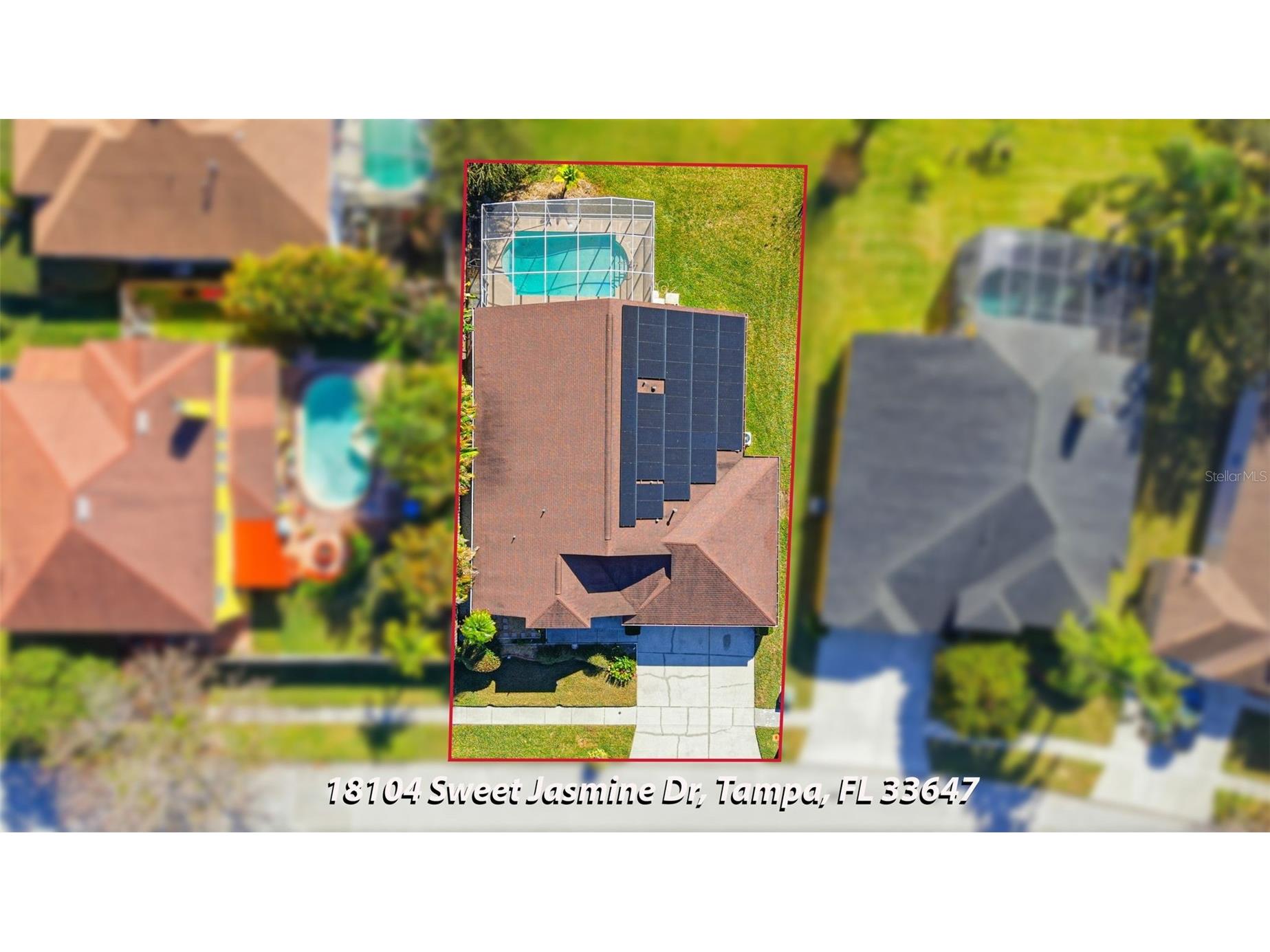 18104 Sweet Jasmine Drive Tampa FL 33647 TB8384583 image67