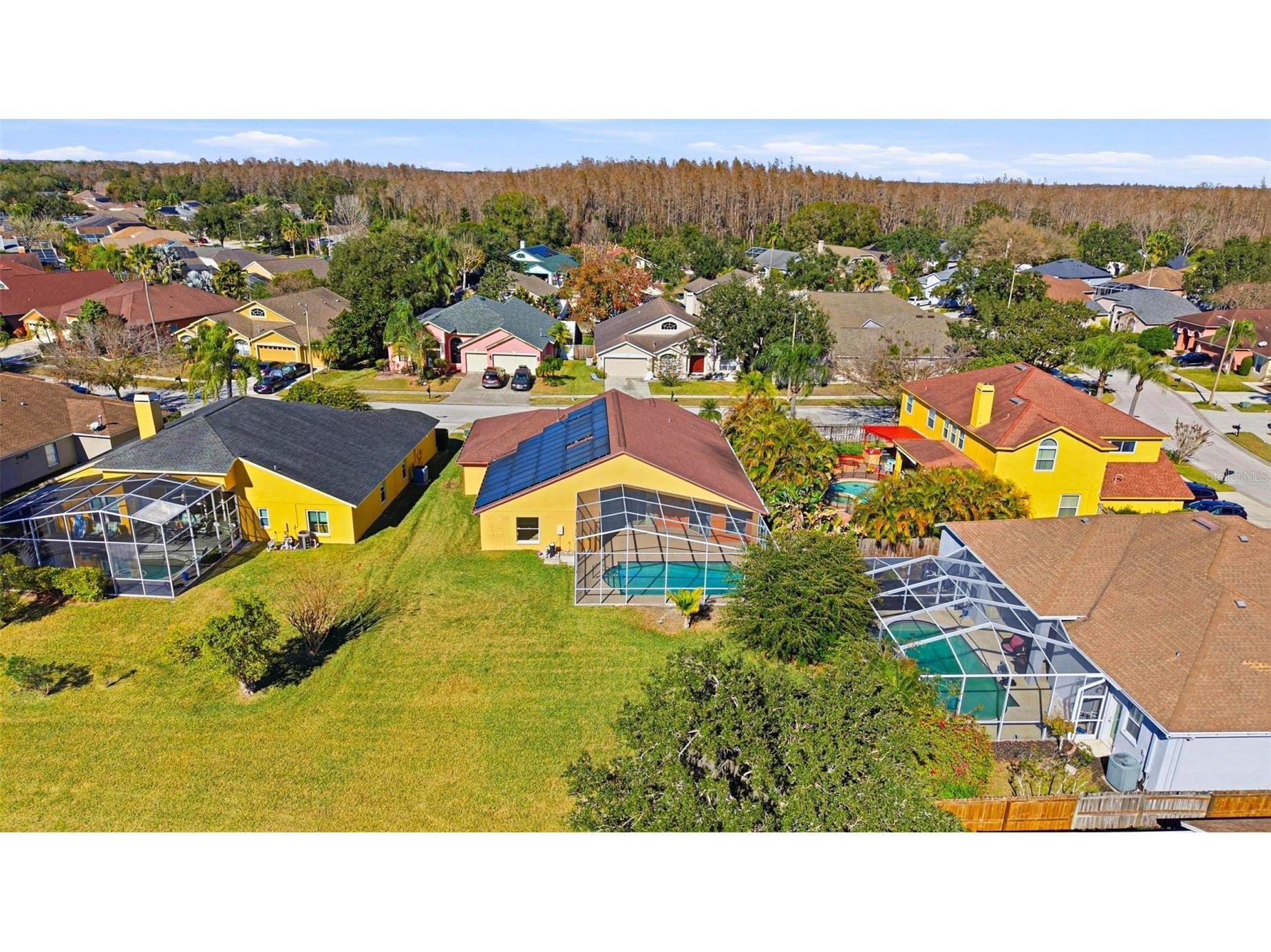 18104 Sweet Jasmine Drive Tampa FL 33647 TB8384583 image74