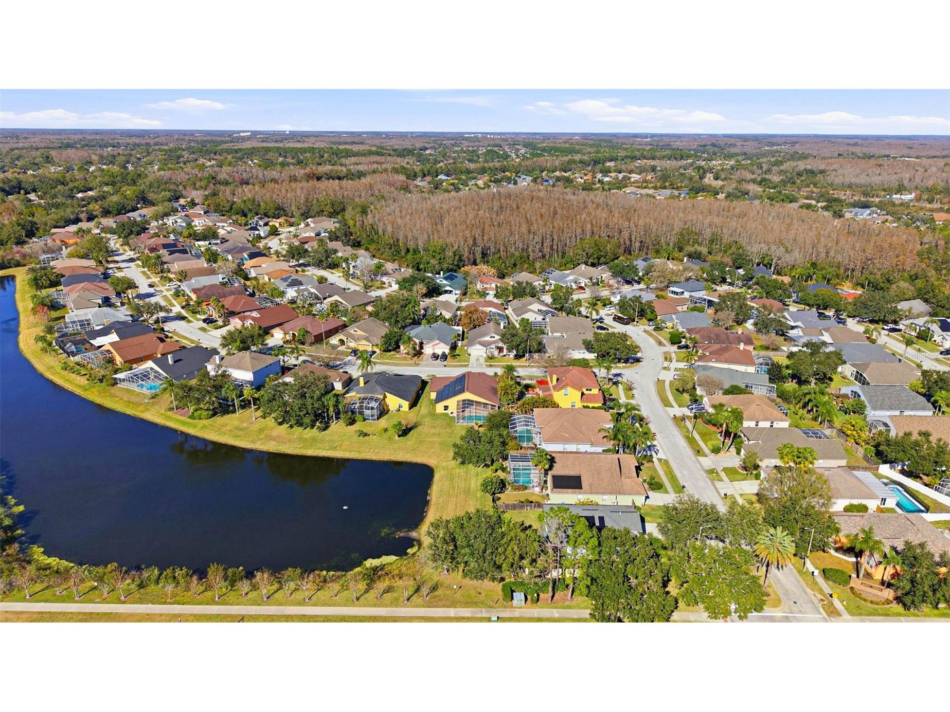 18104 Sweet Jasmine Drive Tampa FL 33647 TB8384583 image76