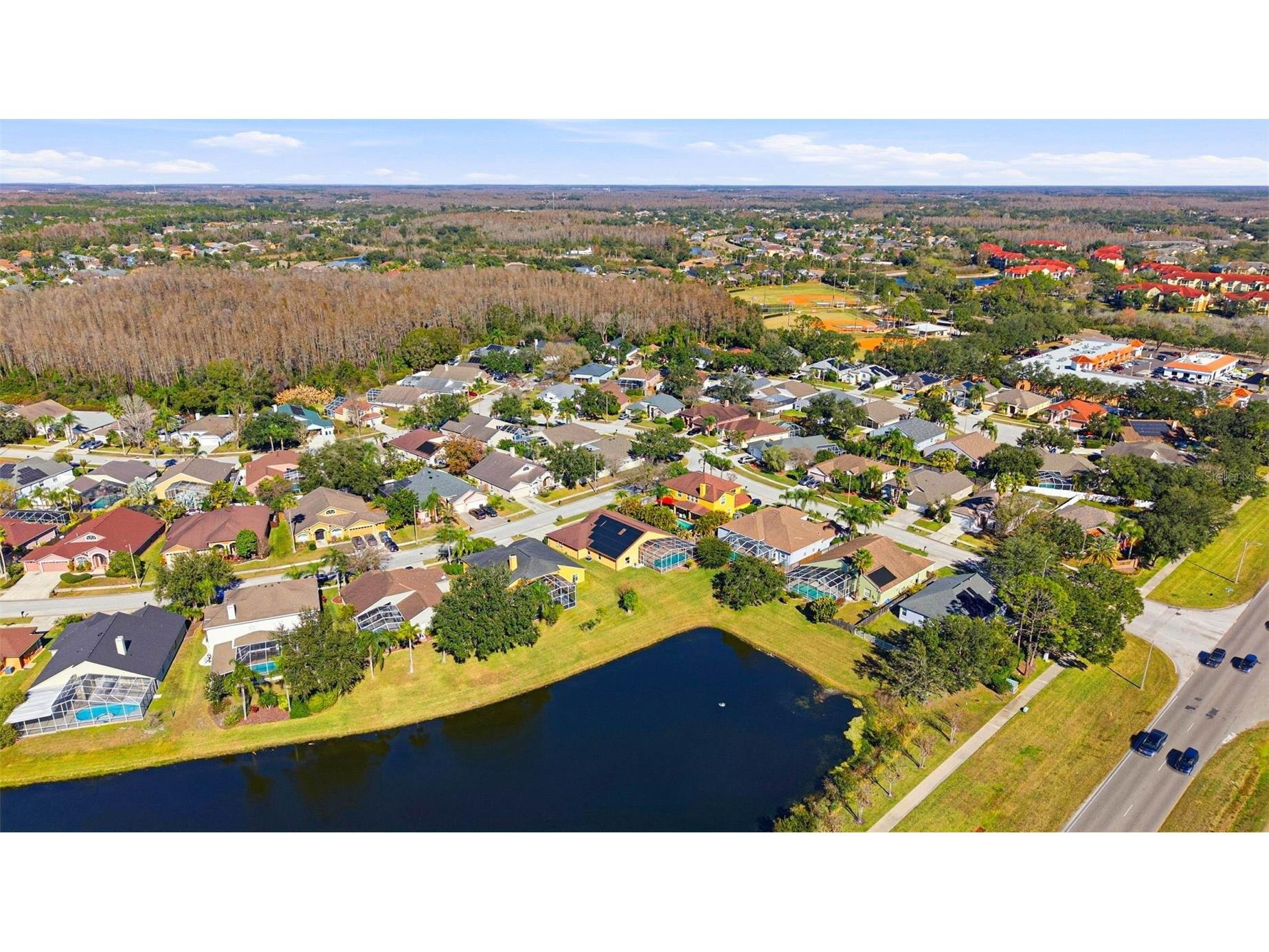 18104 Sweet Jasmine Drive Tampa FL 33647 TB8384583 image77