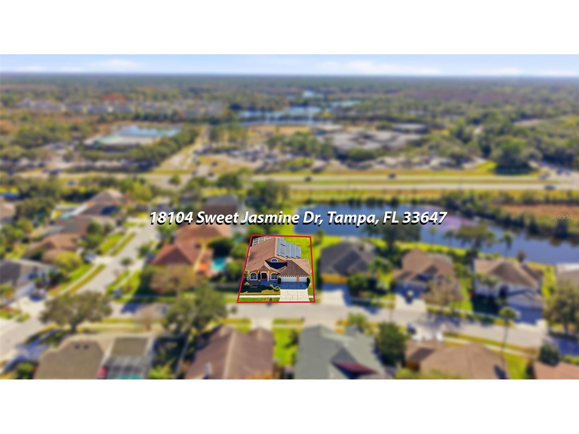 18104 Sweet Jasmine Drive Tampa FL 33647 TB8384583 image80