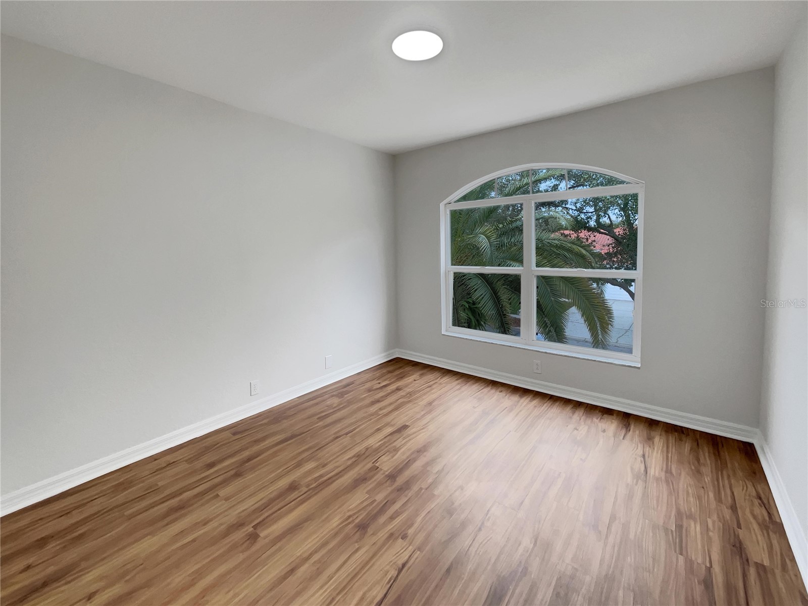 18105 Regents Square Drive Tampa FL 33647 O6374021 image15