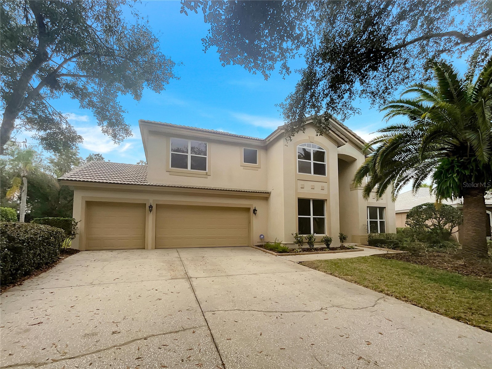 18105 Regents Square Drive Tampa FL 33647 O6374021 image3