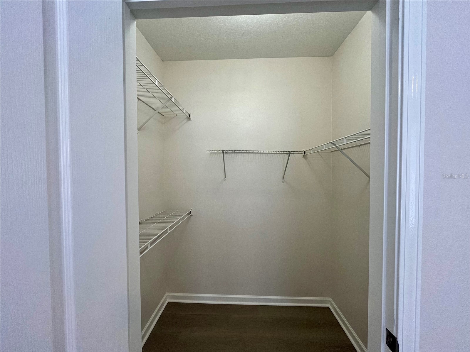 18105 Villa Creek Drive Tampa FL 33647 TB8504949 image20