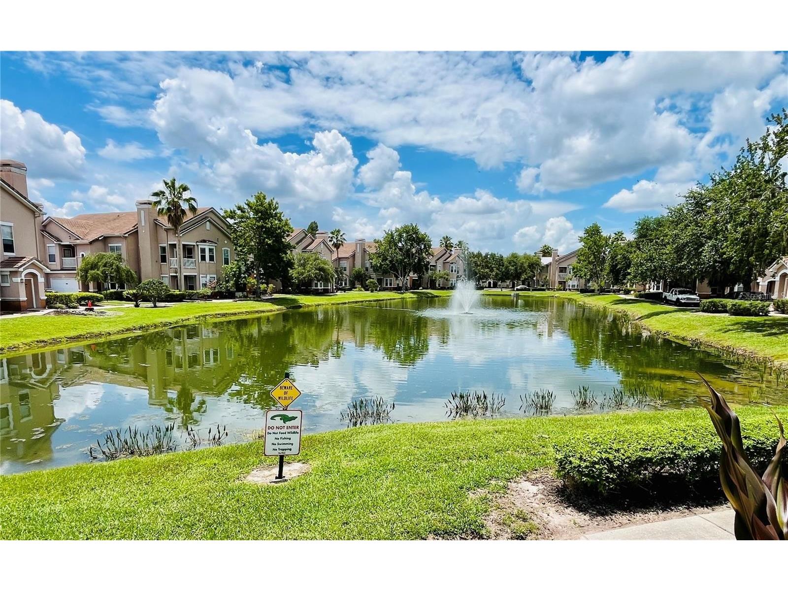 18105 Villa Creek Drive Tampa FL 33647 TB8504949 image25