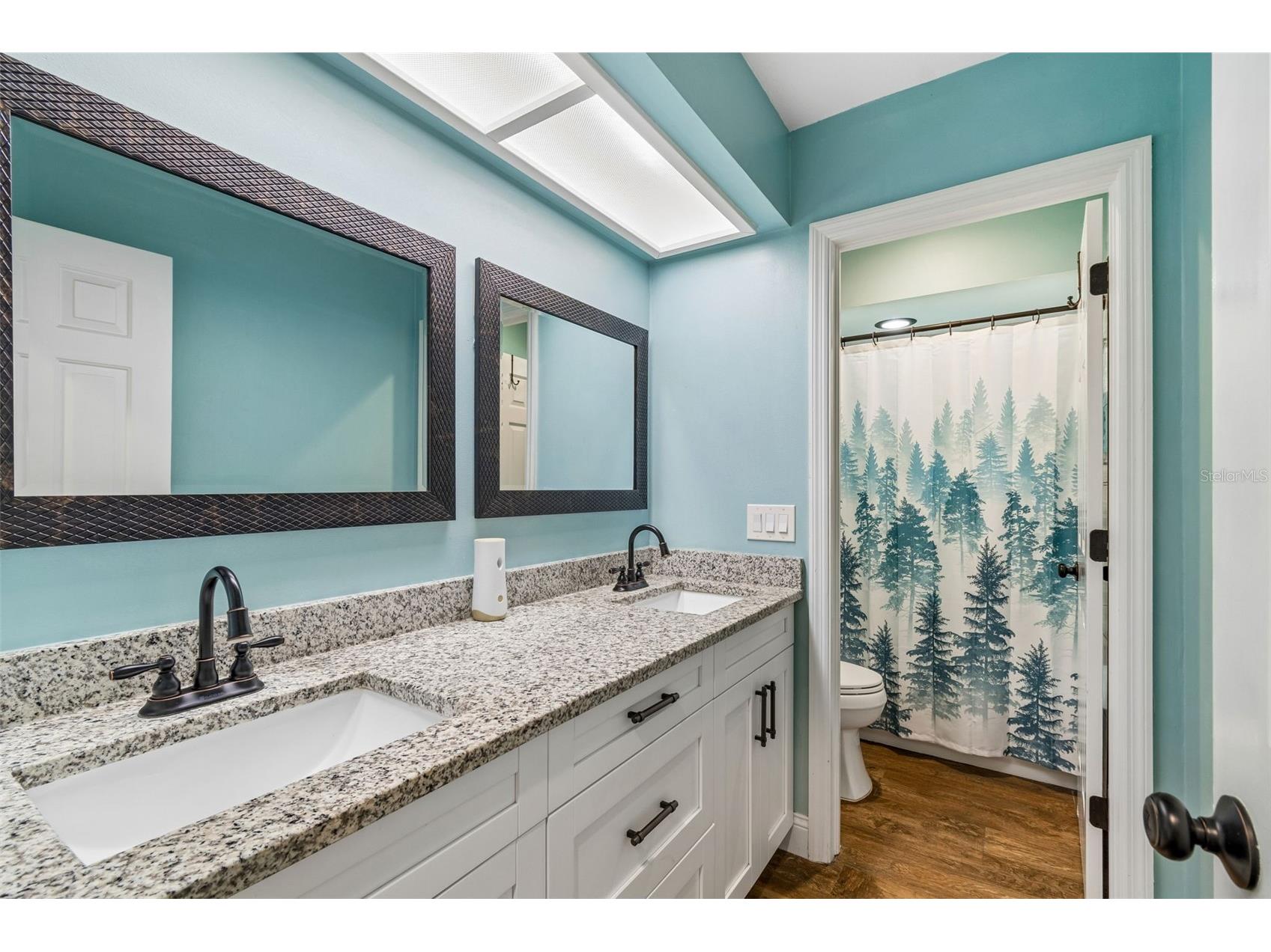 18106 Fairmead Court Lutz FL 33548 TB8521936 image18